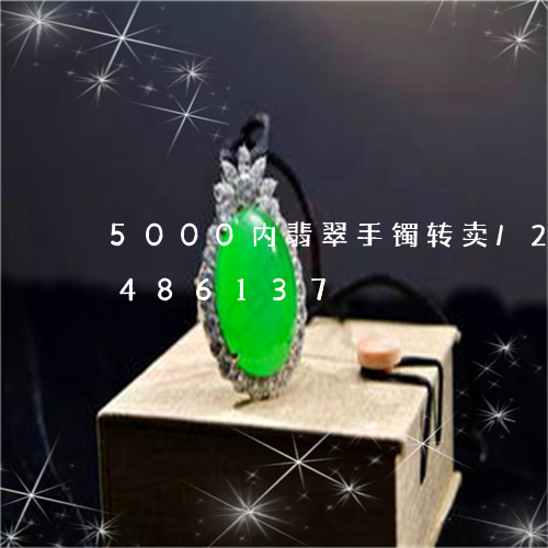 5000内翡翠手镯转卖/2023112486137