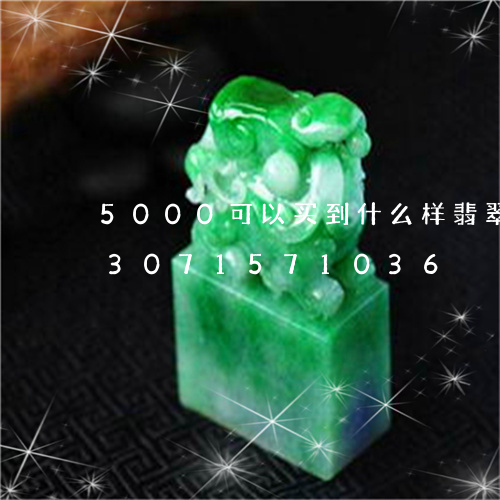 5000可以买到什么样翡翠牌子/2023071571036