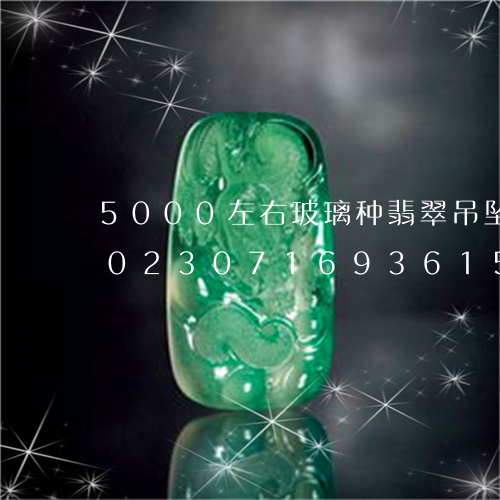 5000左右玻璃种翡翠吊坠价格如何/2023071693615