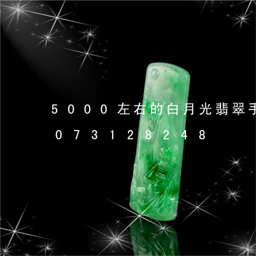 5000左右的白月光翡翠手镯/2023073128248