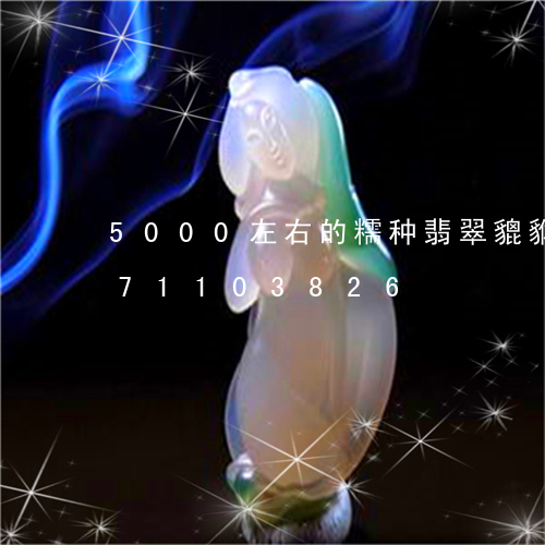 5000左右的糯种翡翠貔貅/2023071103826