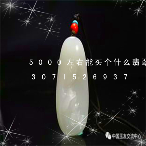 5000左右能买个什么翡翠吊坠/2023071526937