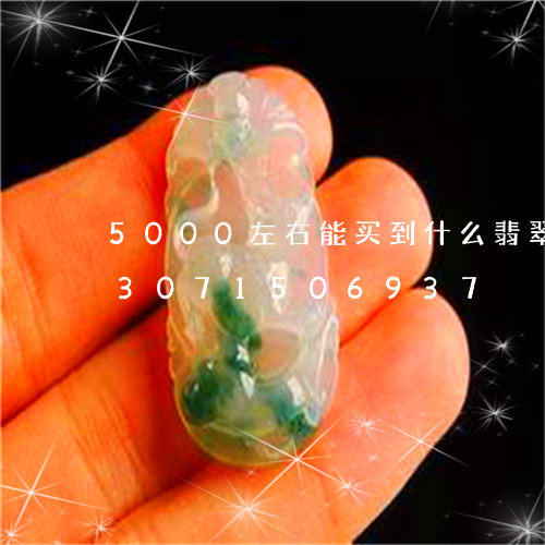 5000左右能买到什么翡翠吊坠/2023071506937