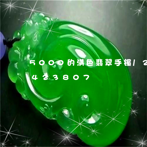 5000的满色翡翠手镯/2023031423807