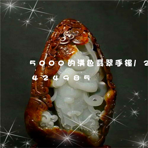 5000的满色翡翠手镯/2023031424985