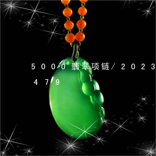 5000翡翠项链/2023042782479