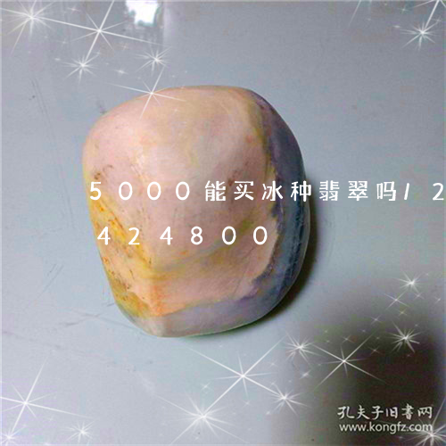 5000能买冰种翡翠吗/2023031424800