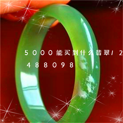 5000能买到什么翡翠/2023031488098