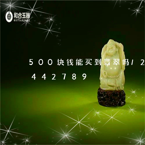 500块钱能买到翡翠吗/2023031442789