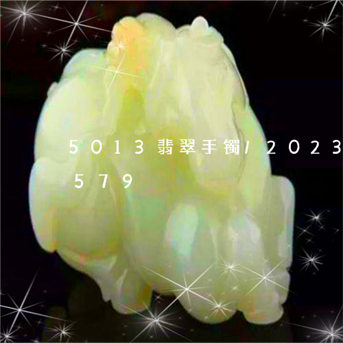 5013翡翠手镯/2023042749579