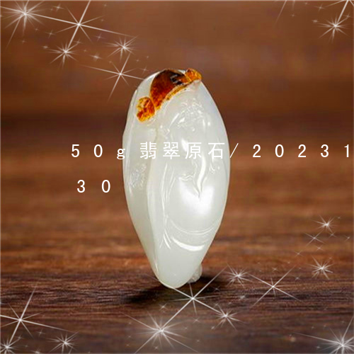 50g翡翠原石/2023121735030