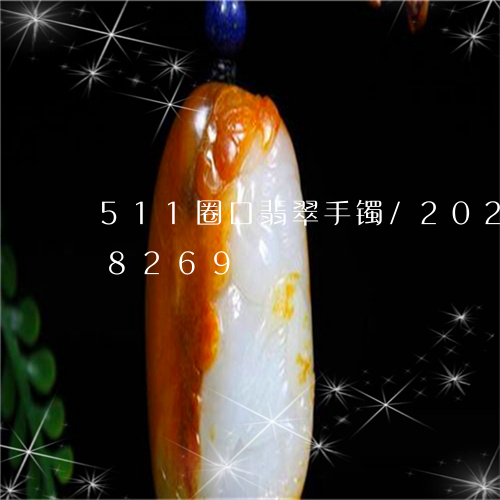 511圈口翡翠手镯/2023110108269