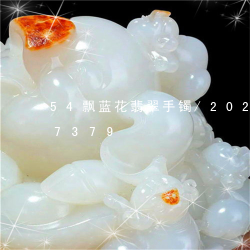 54飘蓝花翡翠手镯/2023102587379