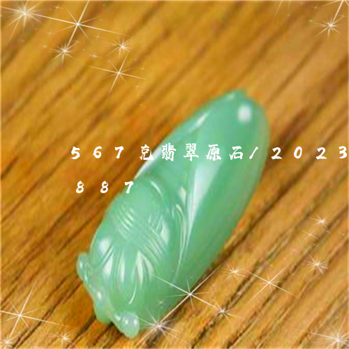 567克翡翠原石/2023042710887