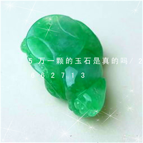 5万一颗的玉石是真的吗/2023111662713