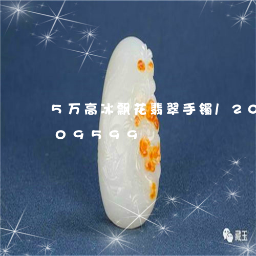 5万高冰飘花翡翠手镯/2023120709599