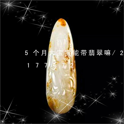 5个月大宝宝能带翡翠嘛/2023110177472