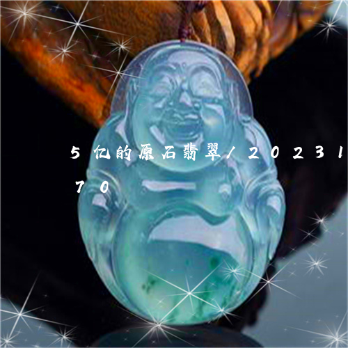 5亿的原石翡翠/2023121620470