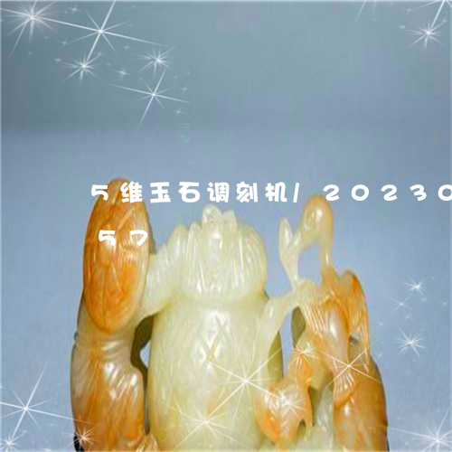 5维玉石调刻机/2023033121757