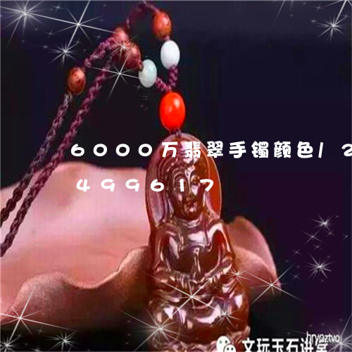 6000万翡翠手镯颜色/2023031499617