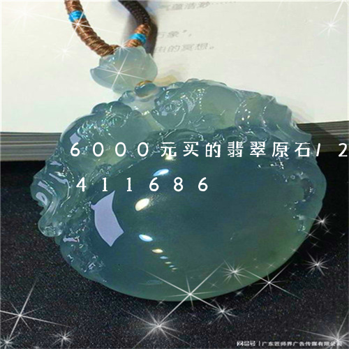 6000元买的翡翠原石/2023031411686