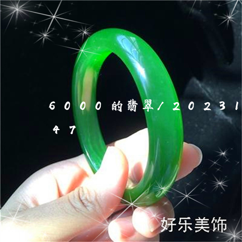 6000的翡翠/2023112404947