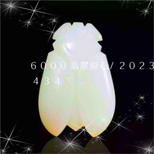 6000翡翠原石/2023042709434