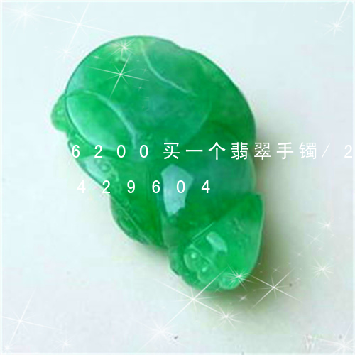 6200买一个翡翠手镯/2023031429604