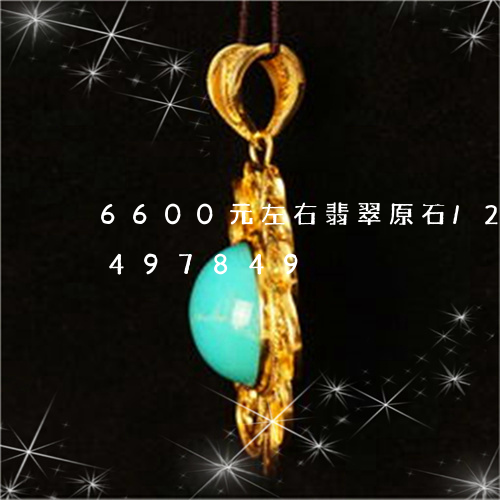 6600元左右翡翠原石/2023031497849