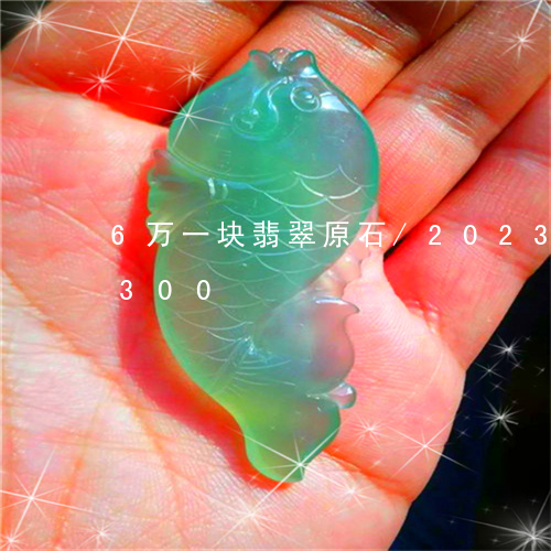 6万一块翡翠原石/2023042707300