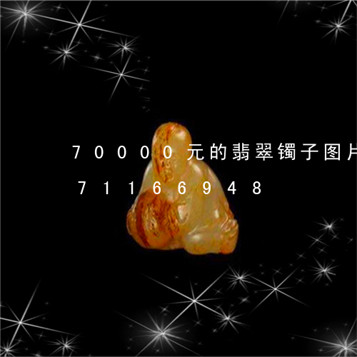 70000元的翡翠镯子图片/2023071166948