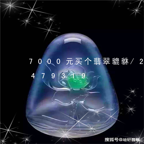 7000元买个翡翠貔貅/2023031479319