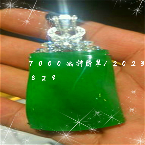 7000冰种翡翠/2023042798829