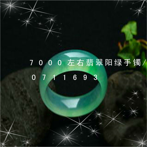 7000左右翡翠阳绿手镯/2023110711693