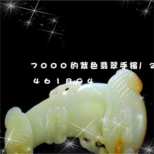 7000的紫色翡翠手镯/2023031461894