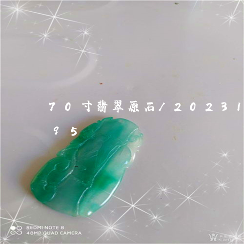 70寸翡翠原石/2023112471895