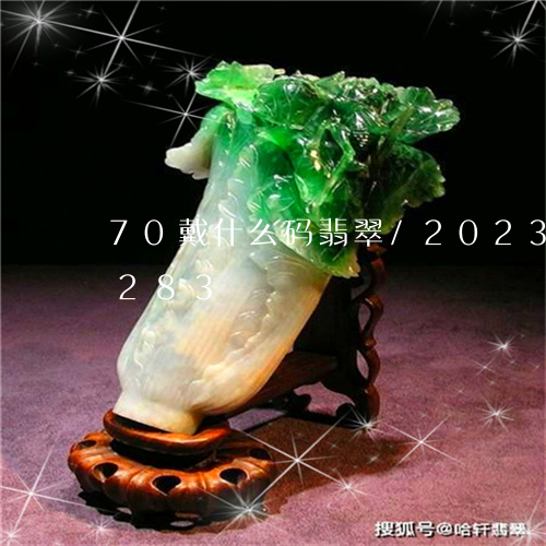 70戴什么码翡翠/2023042742283