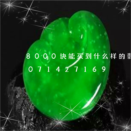 8000块能买到什么样的翡翠/2023071427169