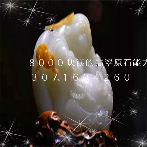 8000块钱的翡翠原石能大涨吗/2023071604260