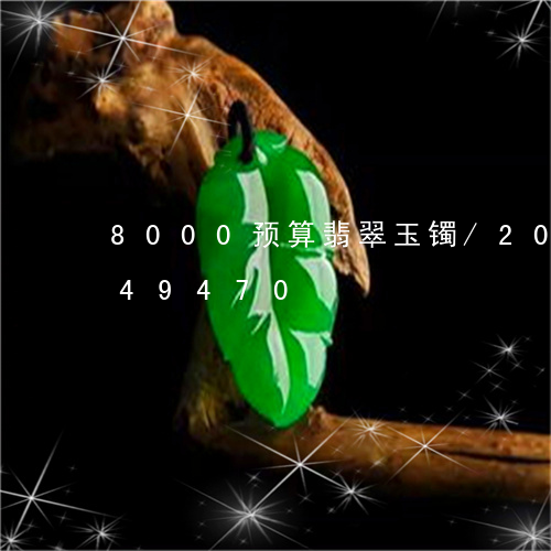 8000预算翡翠玉镯/2023072149470