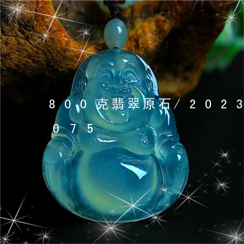 800克翡翠原石/2023042769075