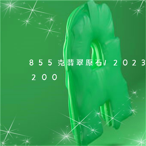 855克翡翠原石/2023042766200