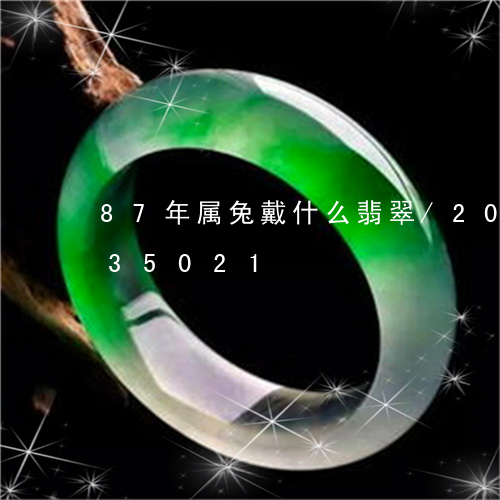 87年属兔戴什么翡翠/2023072135021