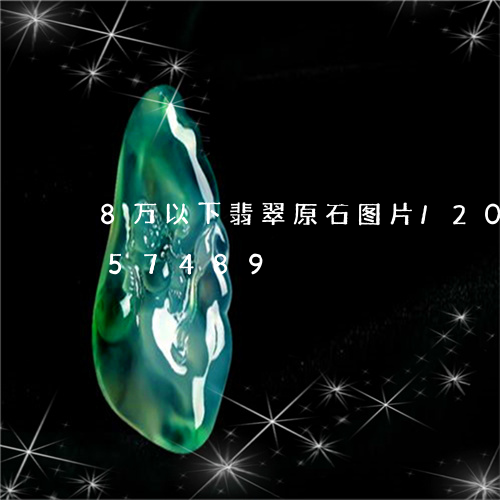 8万以下翡翠原石图片/2023072157489