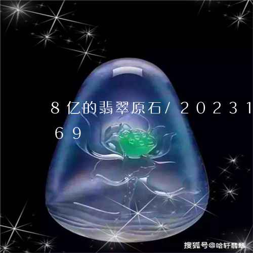 8亿的翡翠原石/2023121606269