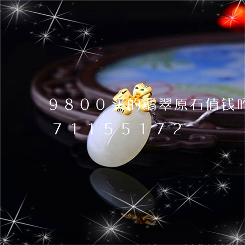 9800买的翡翠原石值钱吗/2023071155172