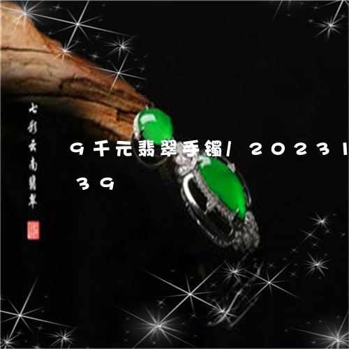 9千元翡翠手镯/2023112424939