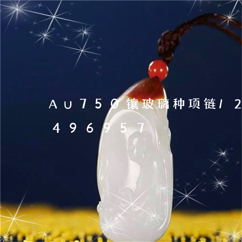 AU750镶玻璃种项链/2023031496957