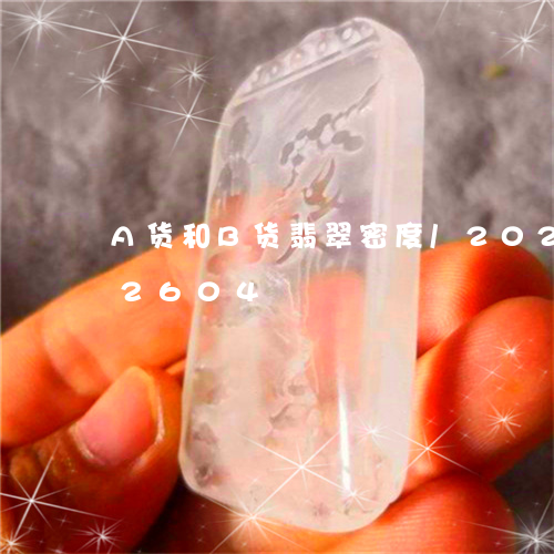 A货和B货翡翠密度/2023110262604