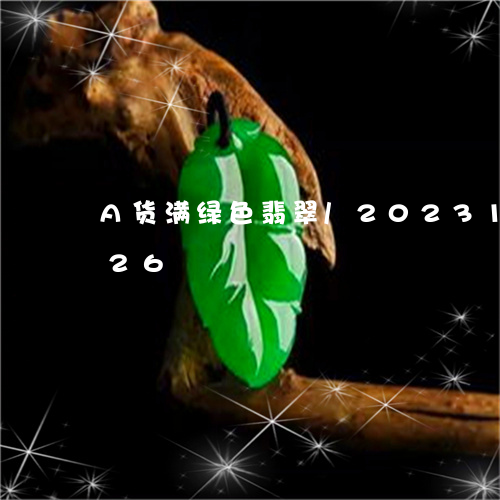 A货满绿色翡翠/2023112482726